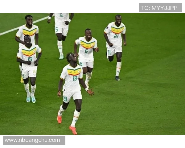 塞内加尔与尼日利对决精彩纷呈谁将赢得这场非洲足球盛宴